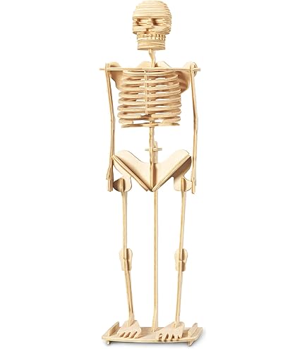 Amazon.com: Puzzled 3D Puzzle Human Skeleton Wood Craft